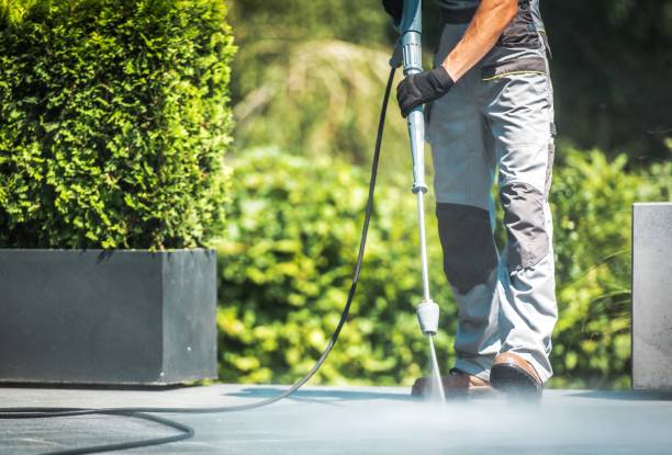 Best Fence Cleaning  in Niagara Falls, NY