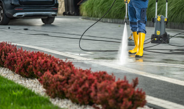 Best Dumpster Area Cleaning  in Niagara Falls, NY